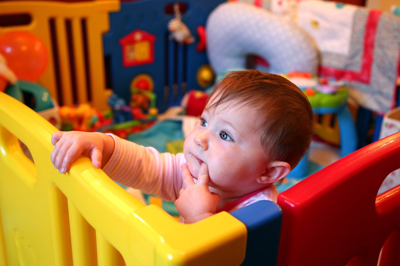 Choosing the right playpen to keep your toddler safe - The Nappy Shop